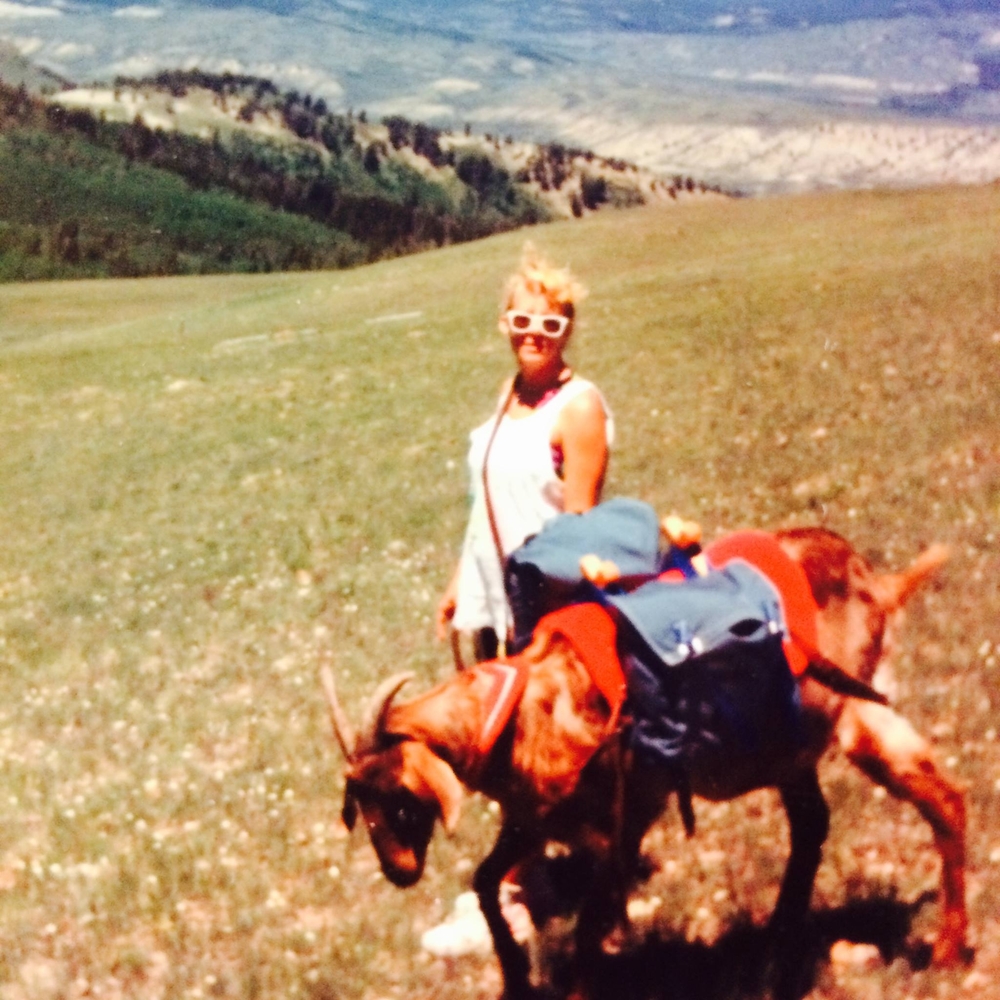 Meet your Posher, Pendarvis